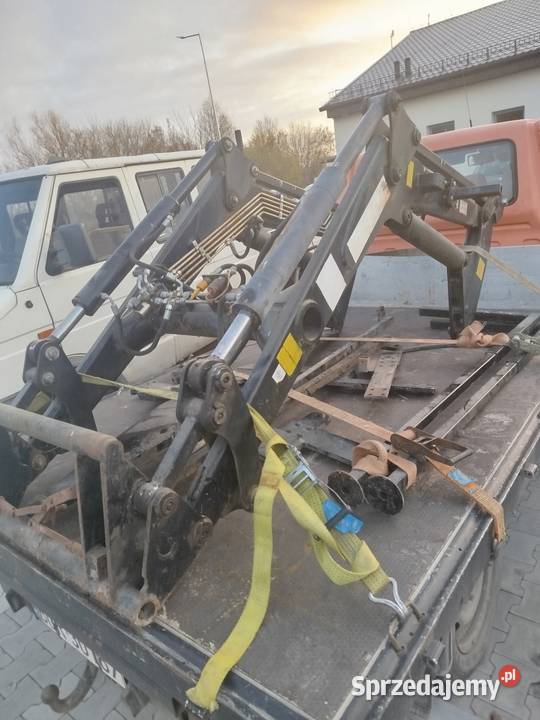 Sprzedam tura do Zetora Niećkowo