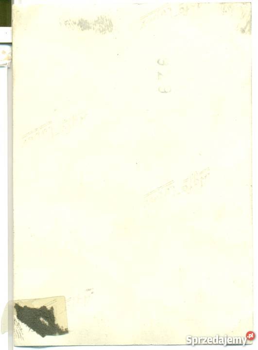 Stare zdjęcie żołnierz niemiecki 2 wojna sprzedam