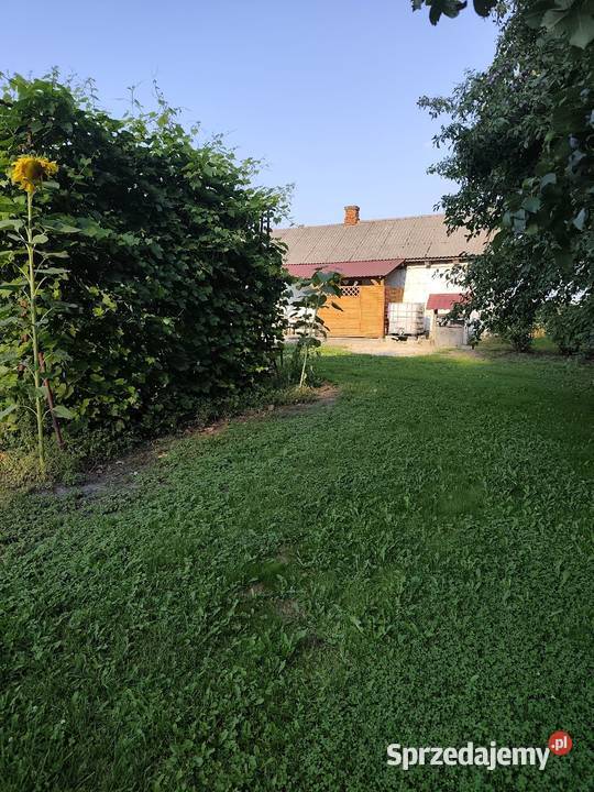 Siedlisko działka 2700m2 dom murowany lubelskie Kępa