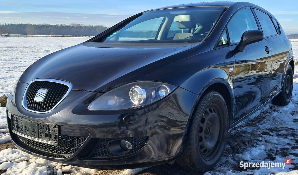 Seat Leon Motoryzacja Chojnów