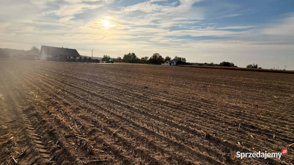 DZIAŁKI BUDOWLANE NA SPRZEDAŻ KOKCZYN I 1350m2 Kokczyn Pierwszy