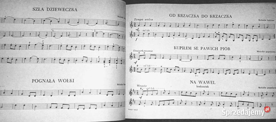 100 ulubionych utworów na mandolinę skrzypce T Chełm