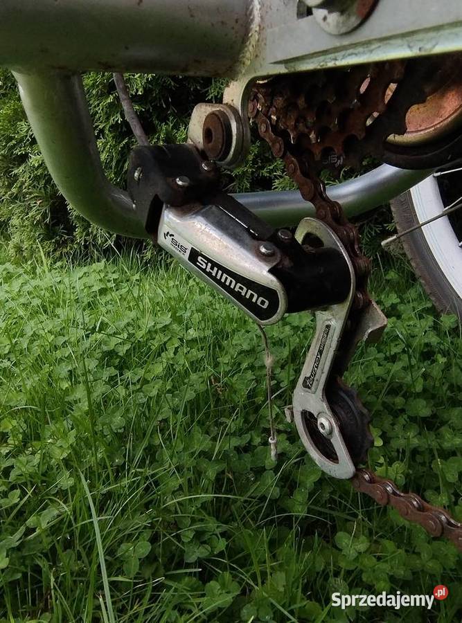 Rower trójkołowy elektryczny inwalidzki Rowery elektryczne wielkopolskie Przemęt