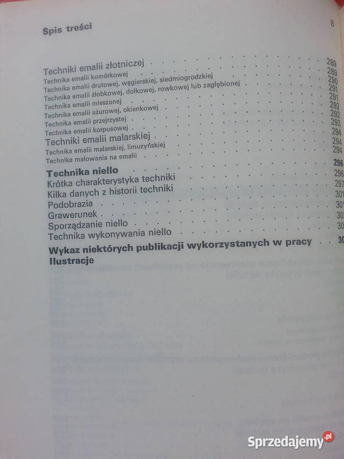 2927 Techniki Malarskie Spoiwa Mineralne Szczecin