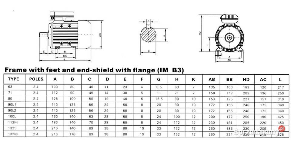Silnik elektryczny jednofazowy 22kw 2800 obr Czarnylas