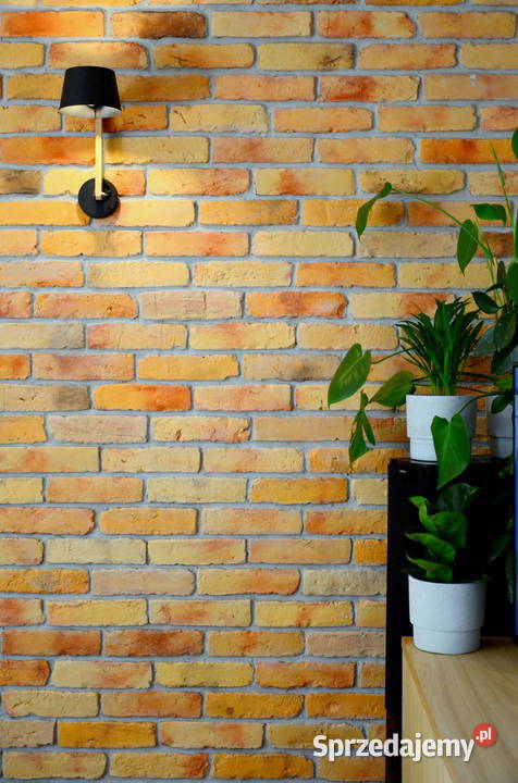 Stare cegły nowe ręcznie wytwarzane Biała Podlaska