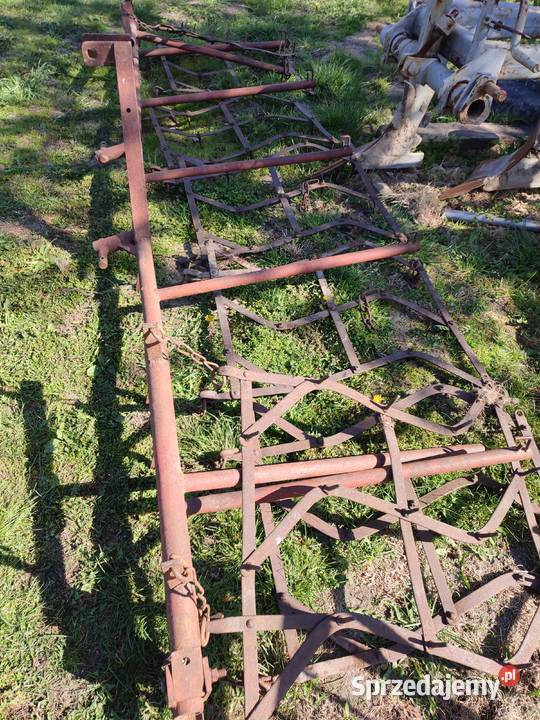 Brony lekkie ziemniakach wielkopolskie Gołuchów