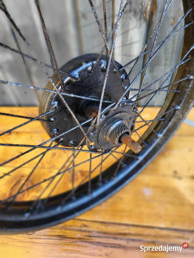 koło śląskie Rybnik