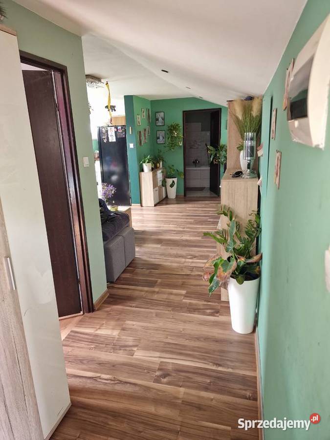 Syndyk sprzeda nieruchomość dolnośląskie Kłodzko