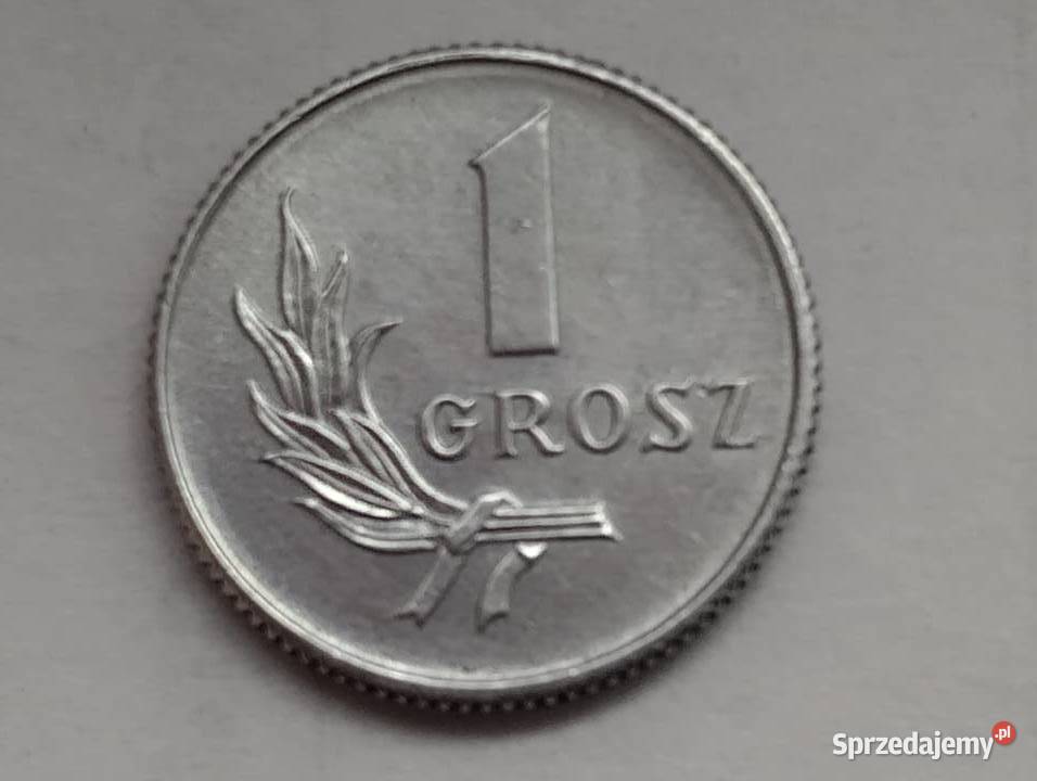 Moneta PRL 1 grosz 1949 Warszawa sprzedam