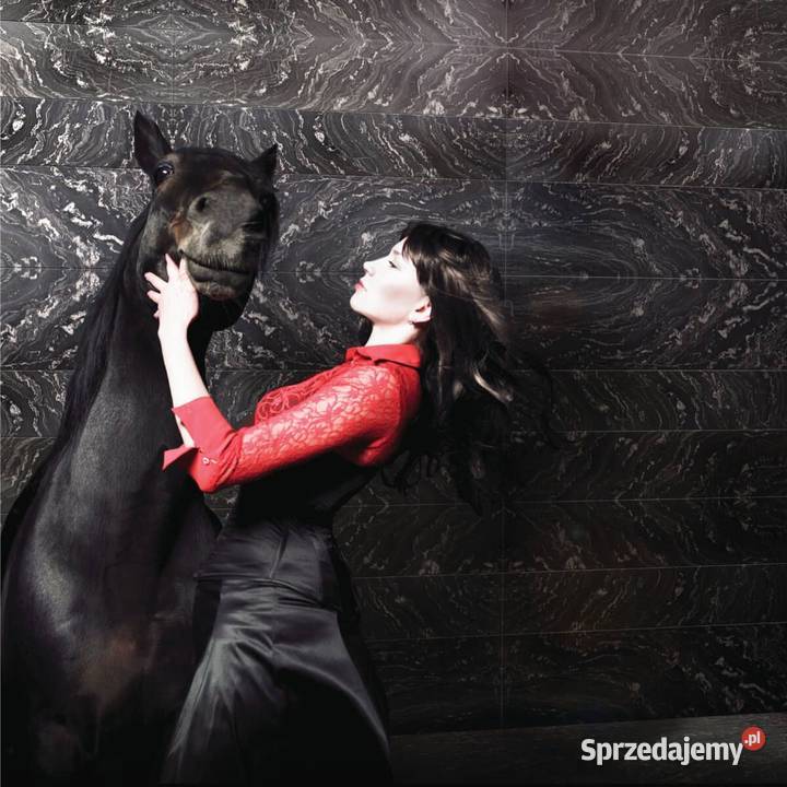 Płytki Granit Oscuro Mist polerowany 61x305x1 Gdynia