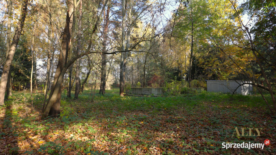 sprzedaży działki Zambski Kościelne 1685m2 1685m2
