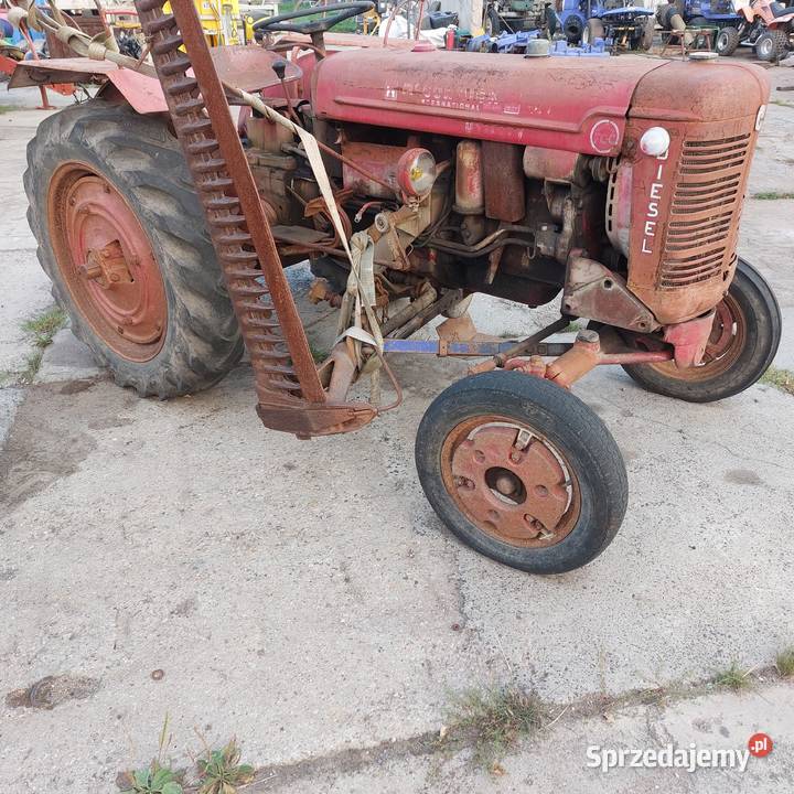 Ciągnik Mccormick zetor ursus Rolnictwo Bolesławiec sprzedam