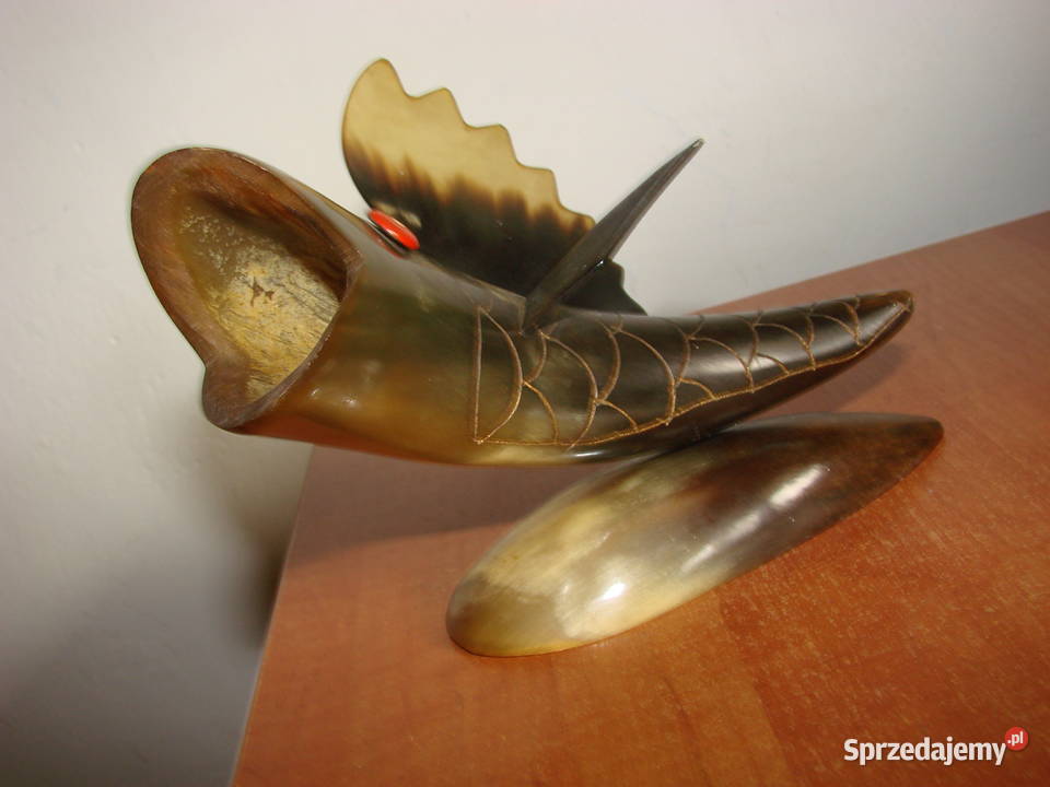 Ryba z rogu Pruszcz Gdański sprzedam