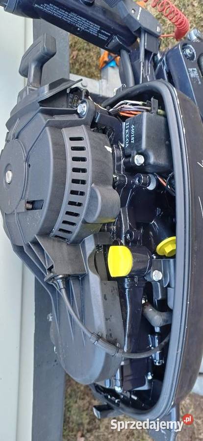 Silnik zaburtowy Evinrude 5 4 suw krotka stopa Pozostałe Strzelce Krajeńskie