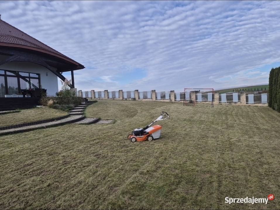 Wertykulacja Aeracja Rurkowa trawnika małopolskie Kraków