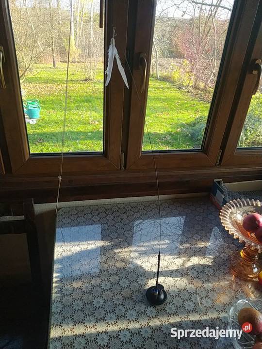 Zabawka piórko kota Kazimierza Wielka