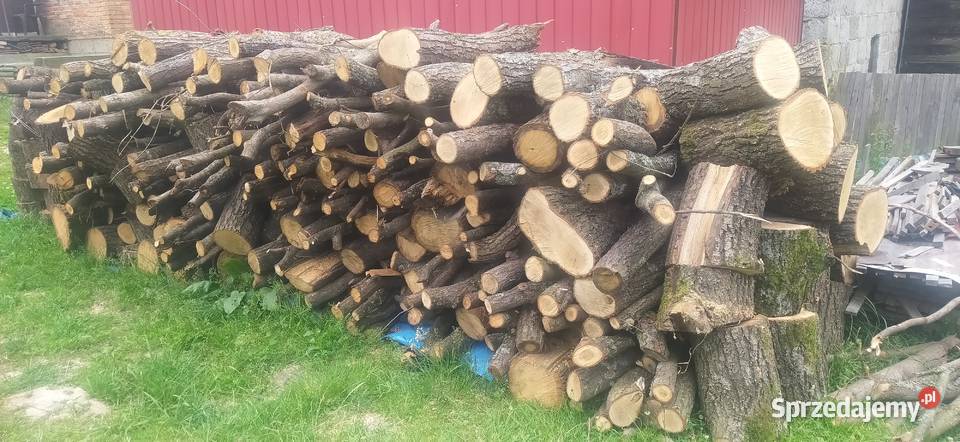 Drzewo kieszeni Frysztak