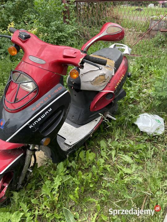 Kingway koyot 50 zarejestrowany Biskupice