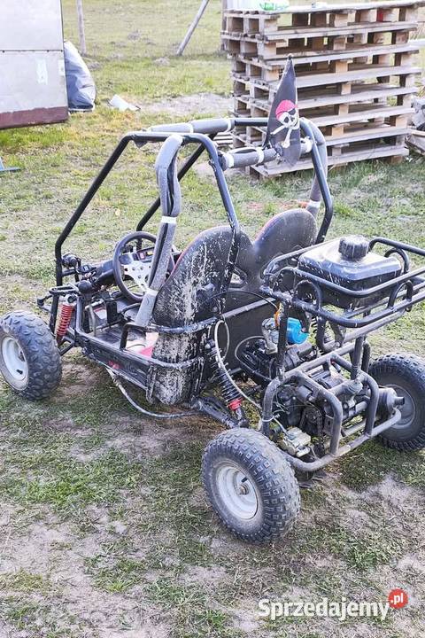 Buggy Zumico dziecka pozostałe kujawsko-pomorskie Grębocin