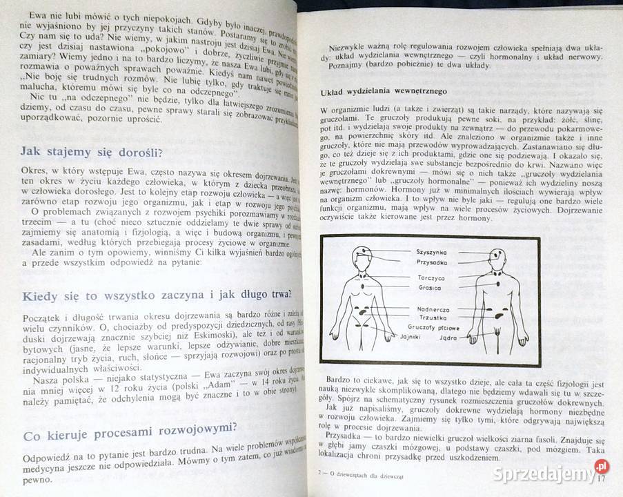 O dziewczętach dziewcząt Wanda Kobyłecka Andrzej lubelskie Chełm