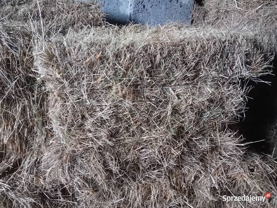 Kostki siana Rzepiennik Biskupi