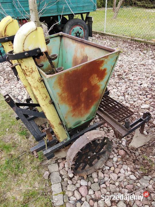 Sadzarka do ziemniaków polska kubełkowa nieuszkodzony Brodnica sprzedam