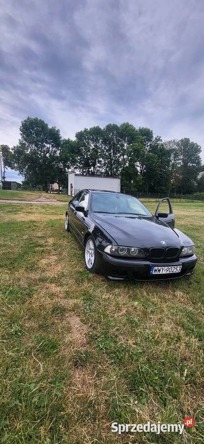 Bmw e39 MPakiet 530d 193 Manual 2003r nieuszkodzony Seria 5 Mikołajki Pomorskie
