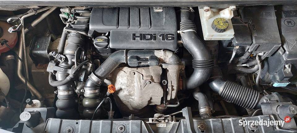 Peugeot 3008 3008 Starogard Gdański