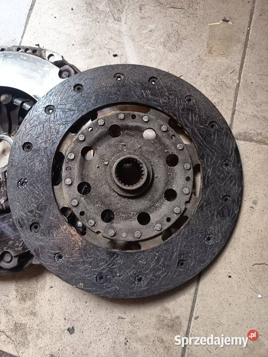 Dwumase do Lexusa is czyt opis Borów