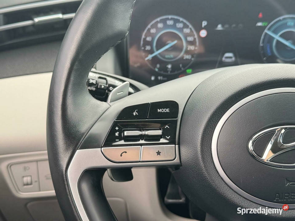 Salon Polska HEV El Klapa Executive Faktura VAT 180KM wielkopolskie