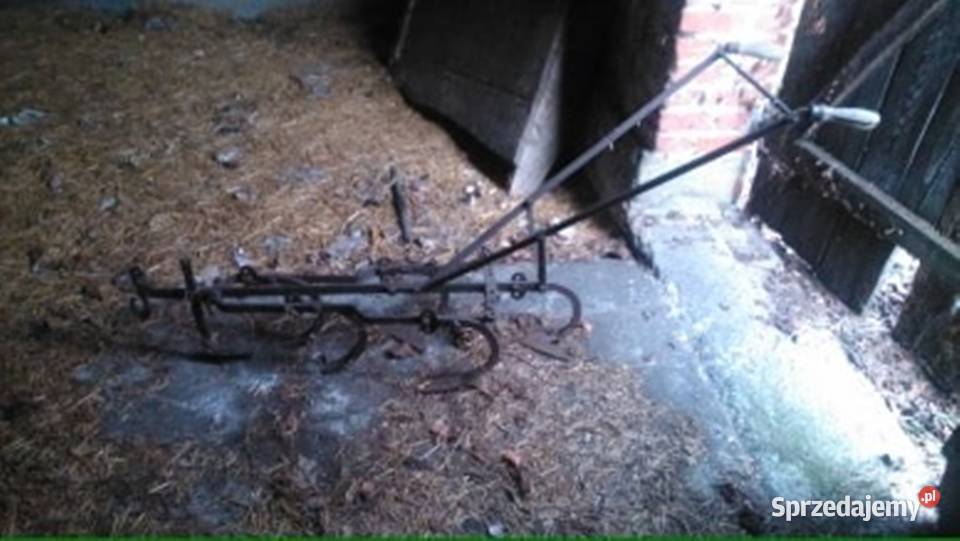 Opielacz konny Zagórki