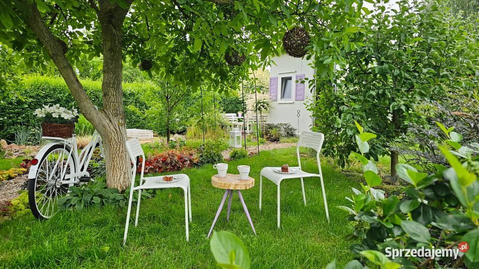 Działka ROD Wrzos w Radomiu Radom