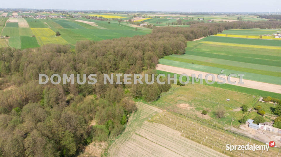 Działka 3416m2 Lubiska siedliskowa