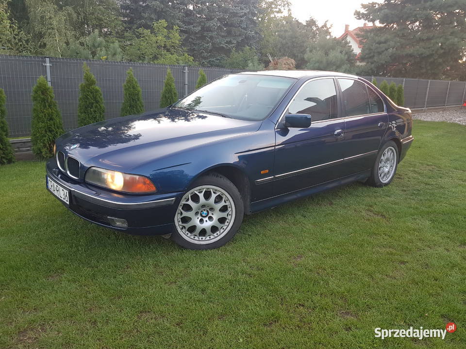 BMW E39 Lmuzyna Byczyna