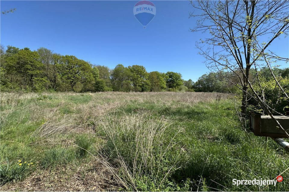 Tereny produkcyjno magazynowo usługowe DK 36 0m dolnośląskie Osiek