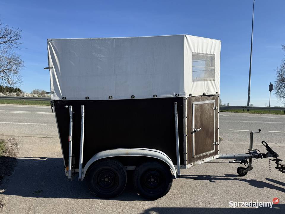 Boeckmann 1 konna przyczepa pomorskie Solnica