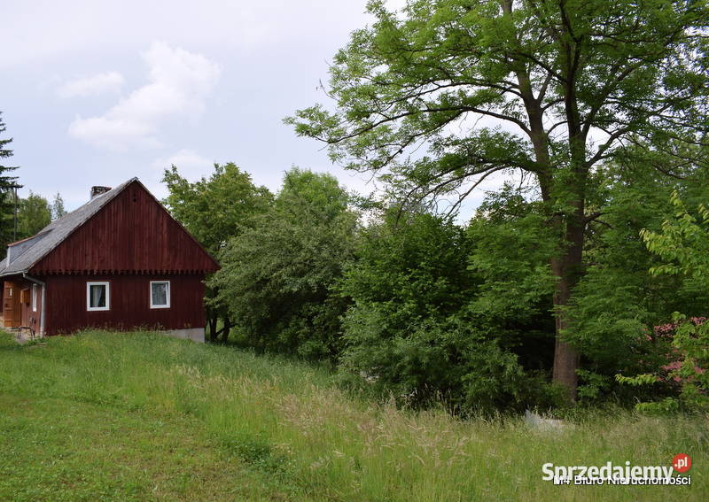 SIEDLISKO NA WSI Z PIĘKNYMI WIDOKAMI WDRAGANOWEJ Sprzedaż Krosno