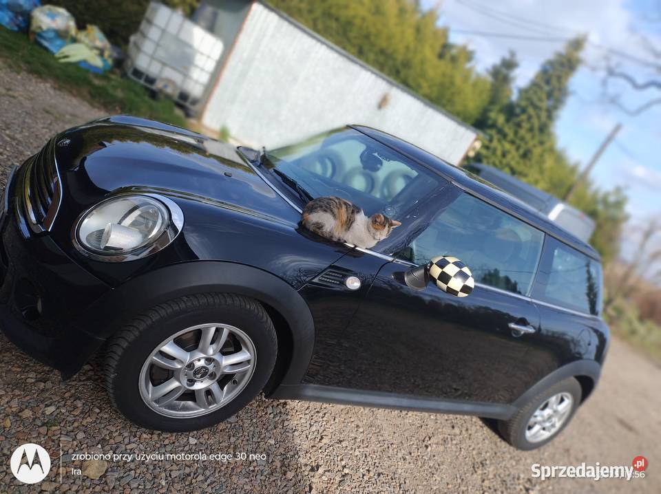 MINI One