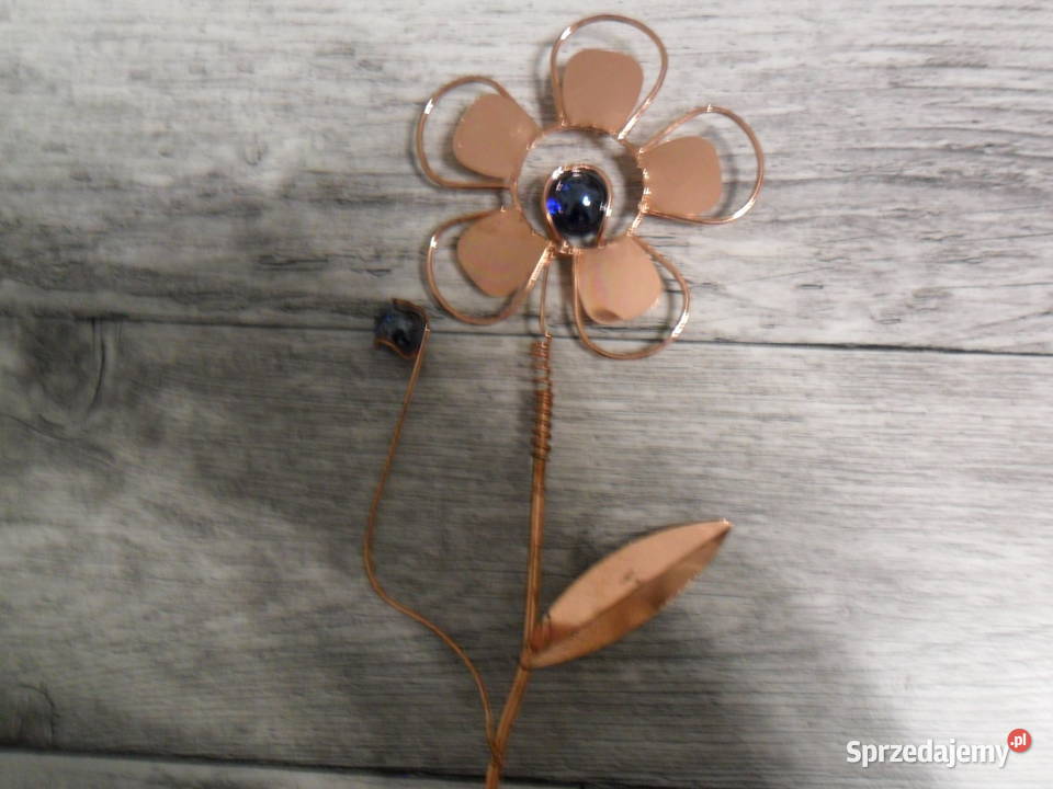 motyleowadykwiaty metaloplastyka biżuteria Sztuka współczesna dolnośląskie Świdnica sprzedam