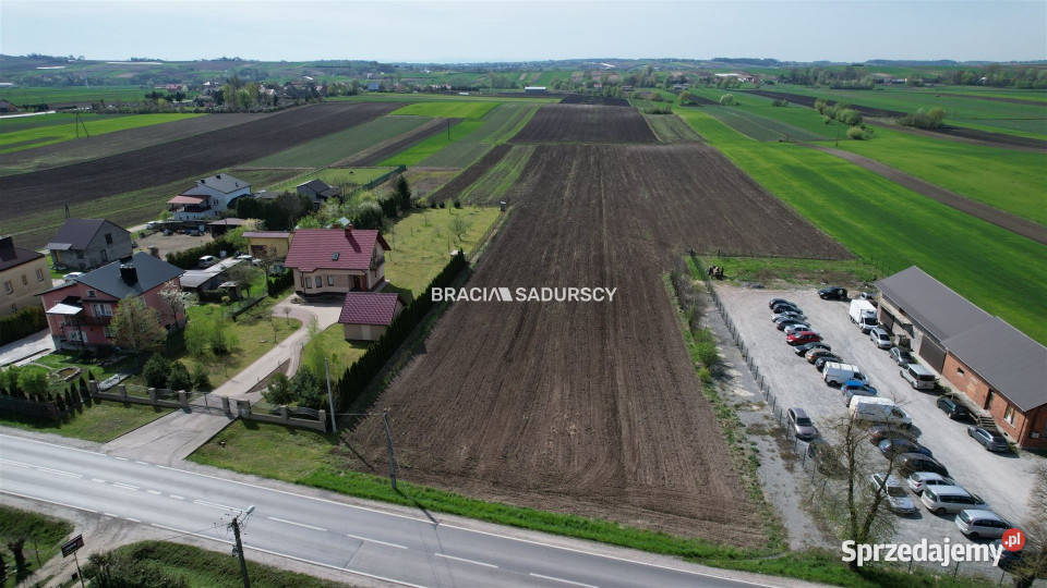 sprzedaży działki 16768m2 Niegardów Sprzedaż sprzedam