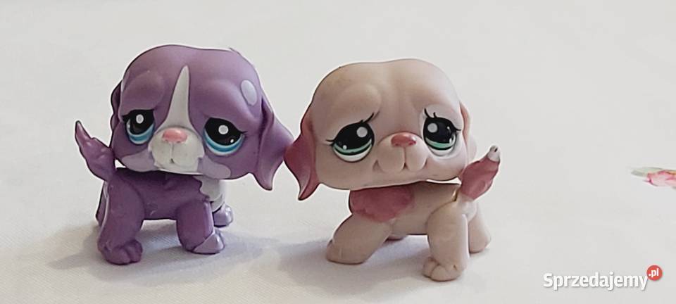 Pieski bernardy zestaw LPS 6 lat+ warmińsko-mazurskie Braniewo