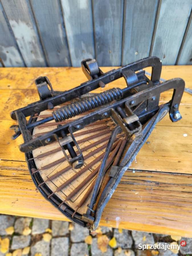 siedzenie denfeld Rybnik