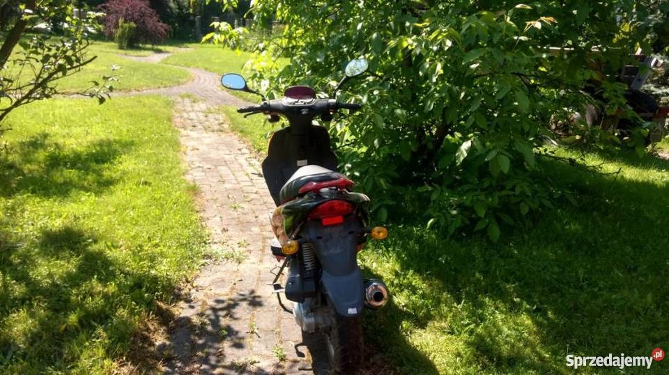 Kingway Cobra Sport 50cm3 Poręba Żegoty