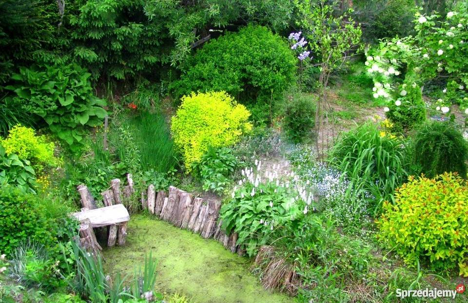 Posiadłość Dom w Beskidach Żywiec SPRZEDAM do zamieszkania Domy