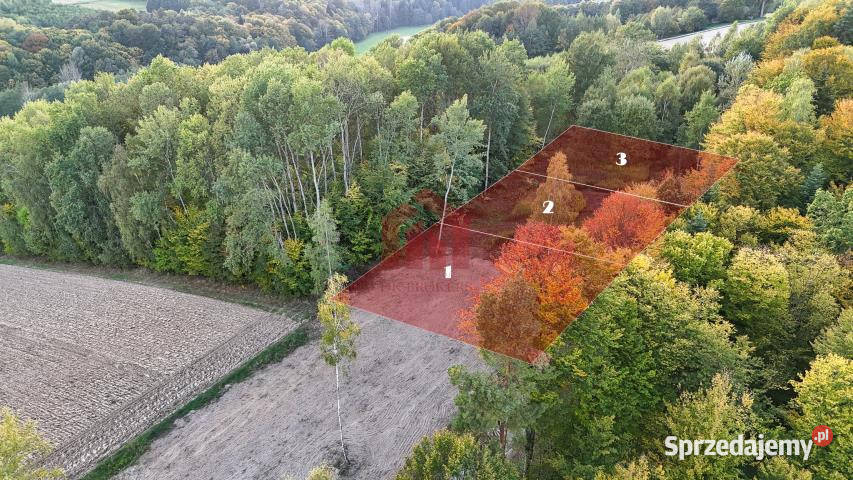 Działka Zagórze 613m2 613m2