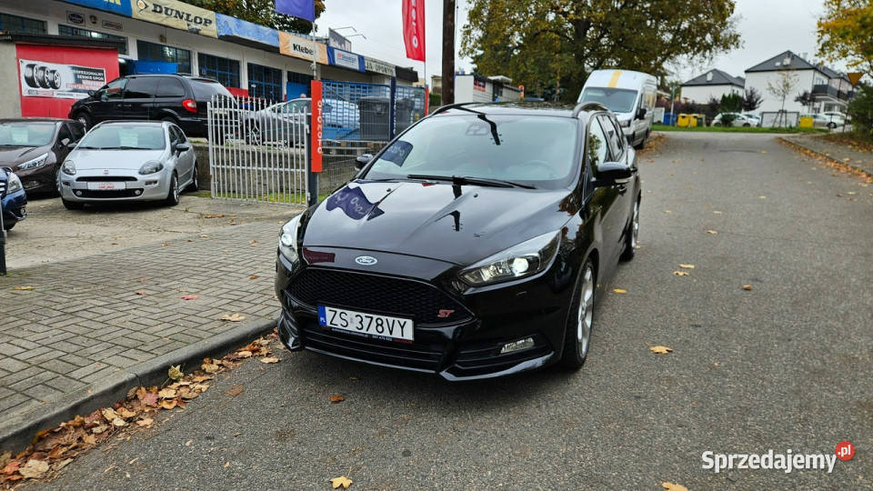 Ford Focus Szczecin