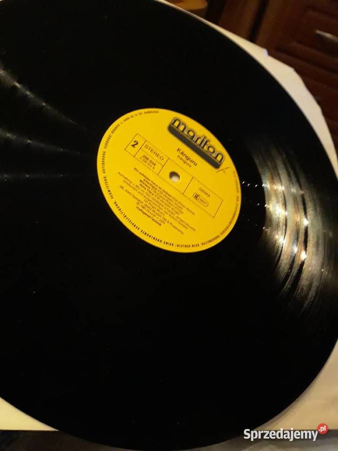 Muzyka niezwykła KANGURU KANGURU 1 płyta podkarpackie Rzeszów