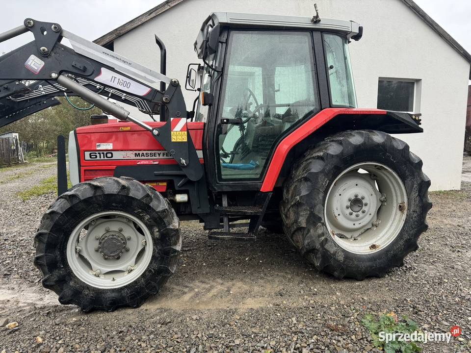 Massey 6110 Orzelec Duży