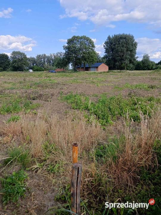 Działka rolna budowlana inwestycyjna Skowierzyn 8500m2
